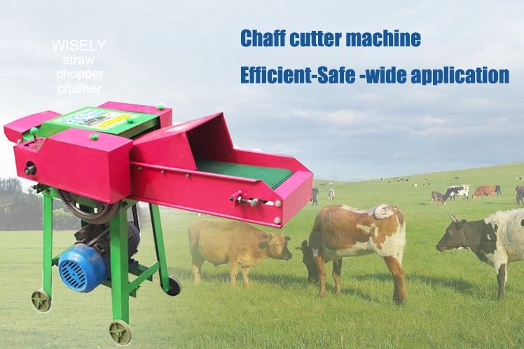 This chaff cutter machine is suitable for all kinds of corn stalk, straw, straw and forage grass, and is an ideal helper for domestic cattle, horses, sheep, deer and rabbits etc. 1 Steel welded frame,small size, light weight, easy to move. 2 Adopted high-quality steel to made the blades and varnish technology to baking the machine casing. 3 The length of chopped straw can be adjusted flexible by the gear lever. 4 The grass roller has compact and reasonable structure, easy to operate. Model9ZT-1 Matched power 2.2kw/3kw Weight 60kg Length of chopped straw 1-3 cm Dimension 1120*480*800 mm Rotating Speed of Cutter 1100 (r/min) Quantity of blades 4 or 6 pieces Working efficiency 1000kg/h(dry grass)1200 kg/h( damp grass)