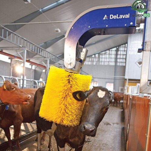 Dairy Cow Brush For Automatic Motor
