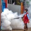 Mosquito Killer Fog Machine Battery Operated | Virus Killing Sprayer