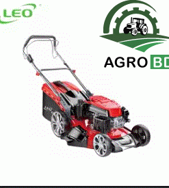 Walk Behind Grass Cutter Machine
