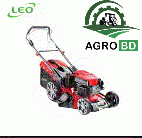 Walk Behind Grass Cutter Machine