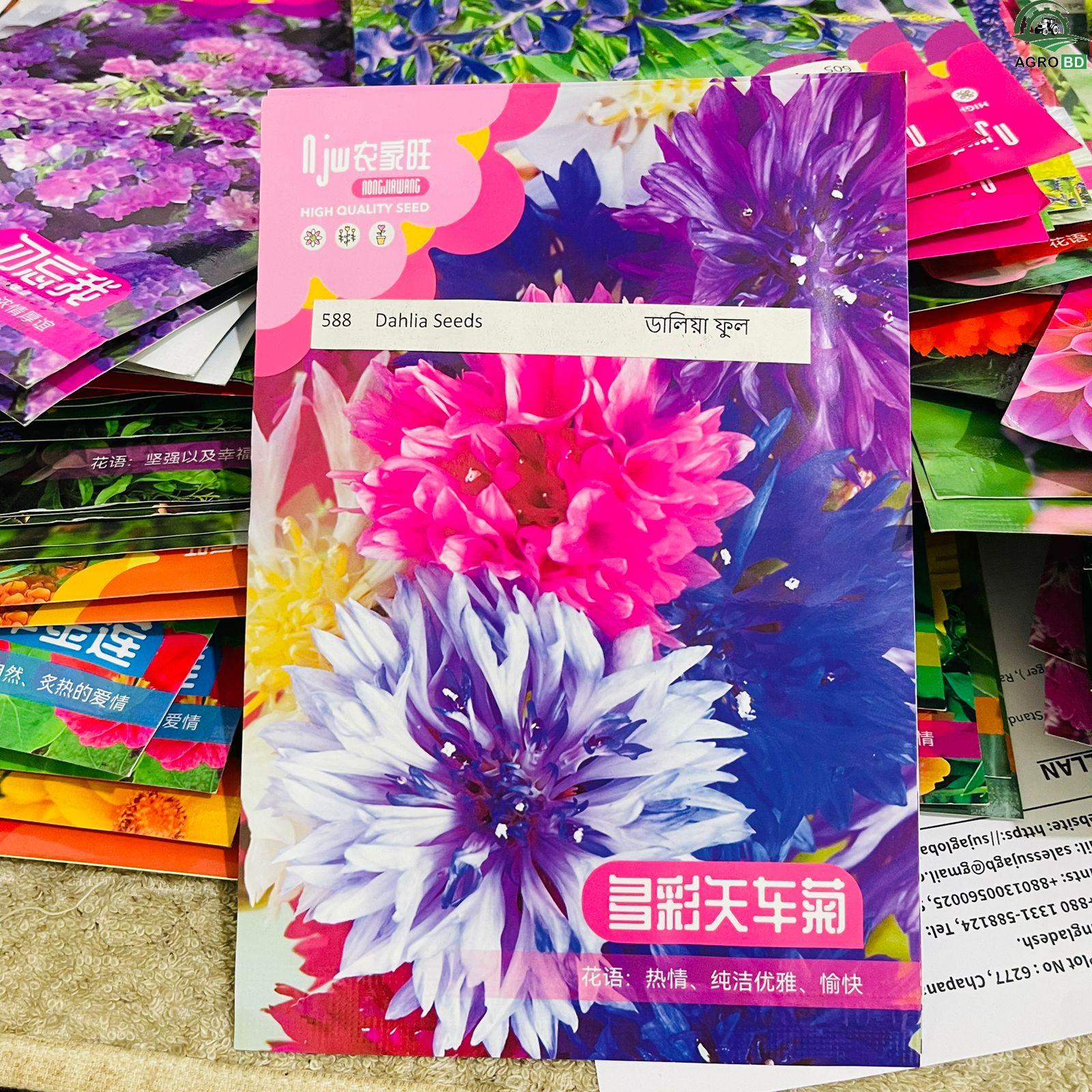 Dahlia Flower Seeds