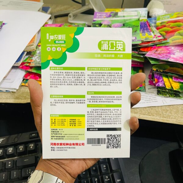 Dandelion Flower Seeds