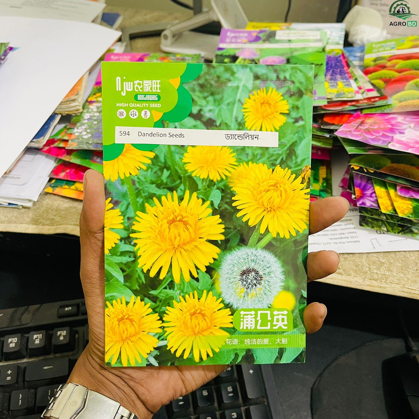 Dandelion Flower Seeds ড্যান্ডেলিয়ন বা পীতচুমকি ফুলের বীজ