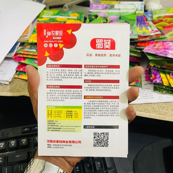 Hollyhock Flower Seeds