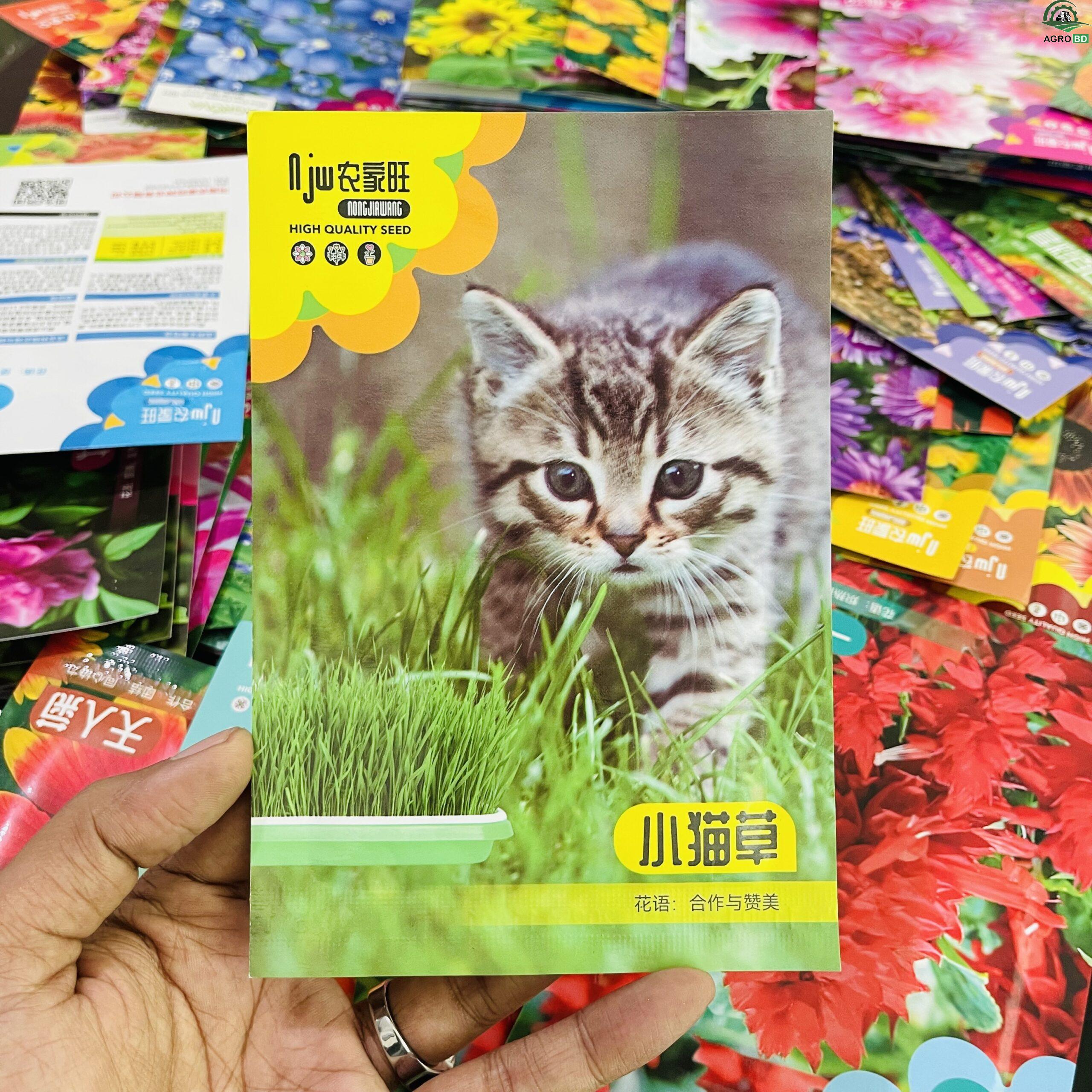 Cat Grass Seeds বিড়ালের ঘাস - Image 3