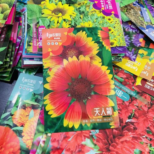 Bicolor Sunflower Seeds দ্বি-রঙা সূর্যমুখী বীজ