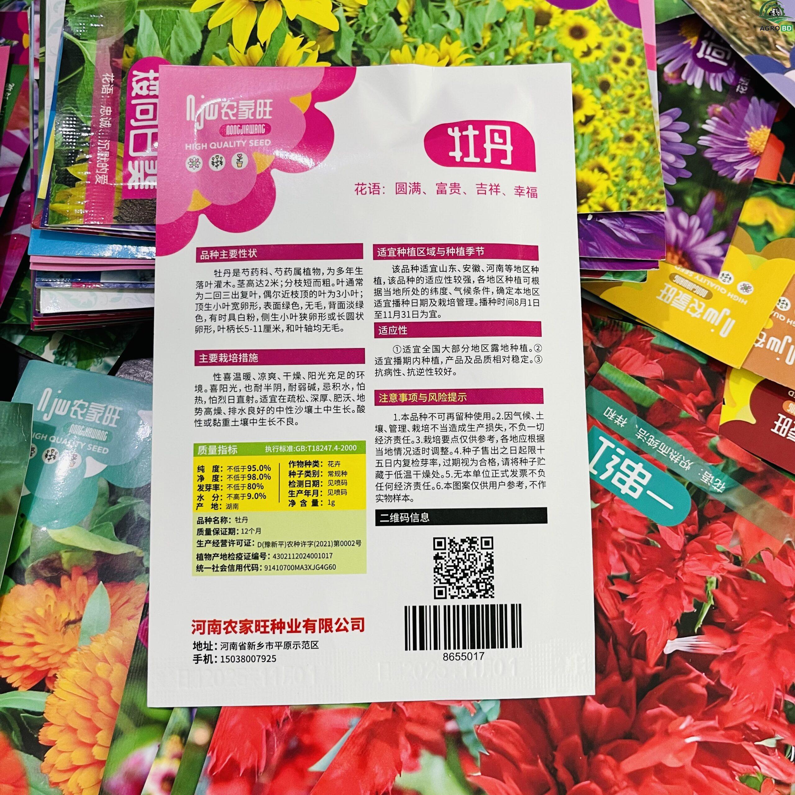 DWDF Sunflower Seeds বামন সূর্যমুখী বীজ - Image 2