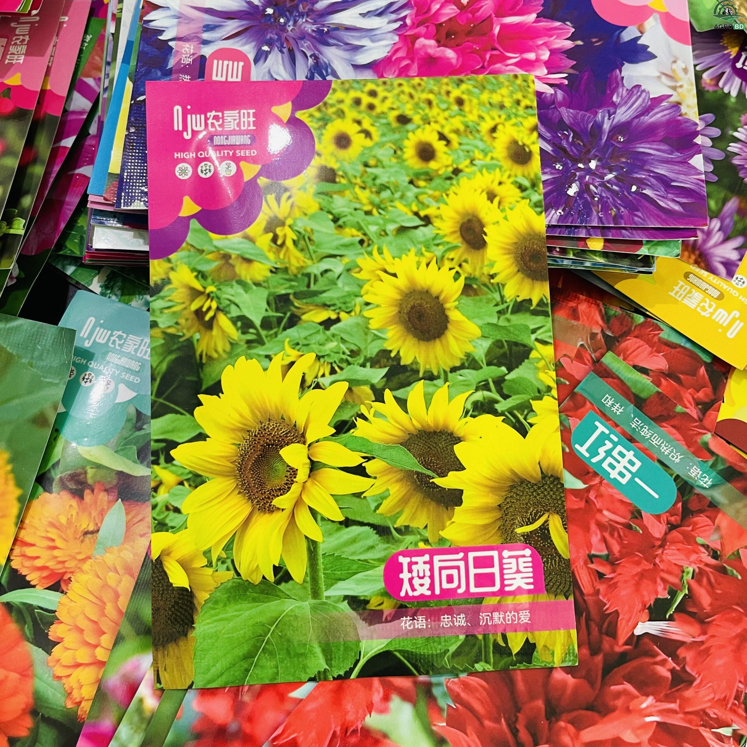 DWDF Sunflower Seeds বামন সূর্যমুখী বীজ