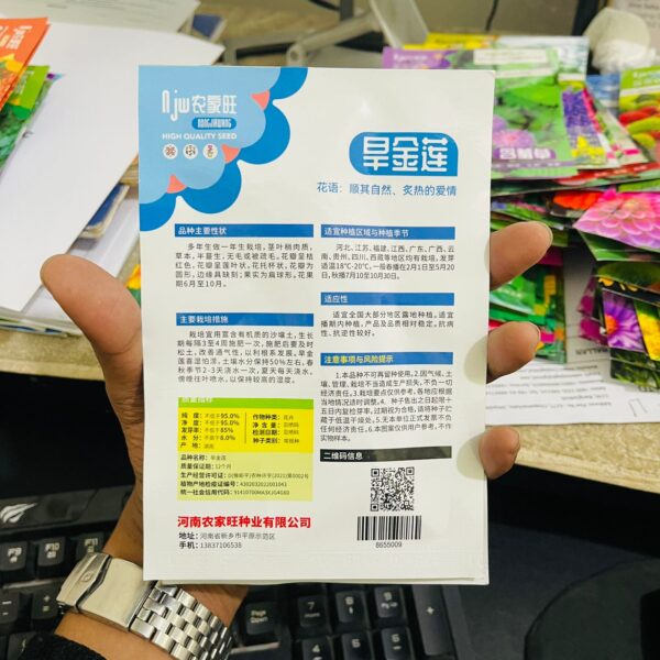 Liatris Flower Seeds