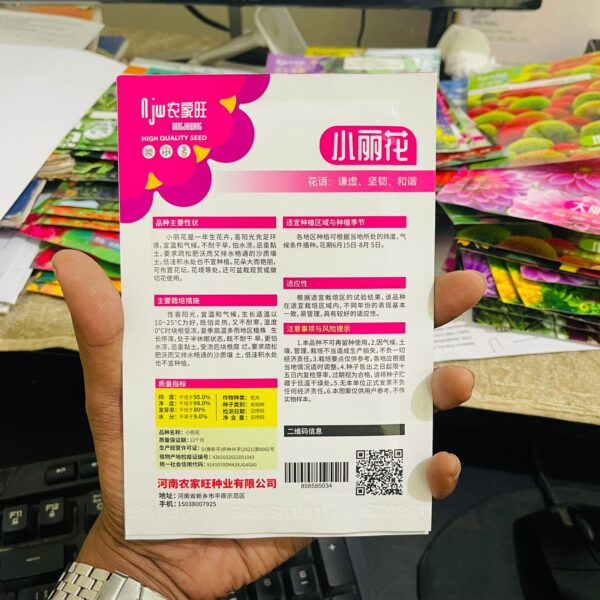 Miniature Dahlia Mix ক্ষুদ্রাকার ডালিয়া মিশ্রণ