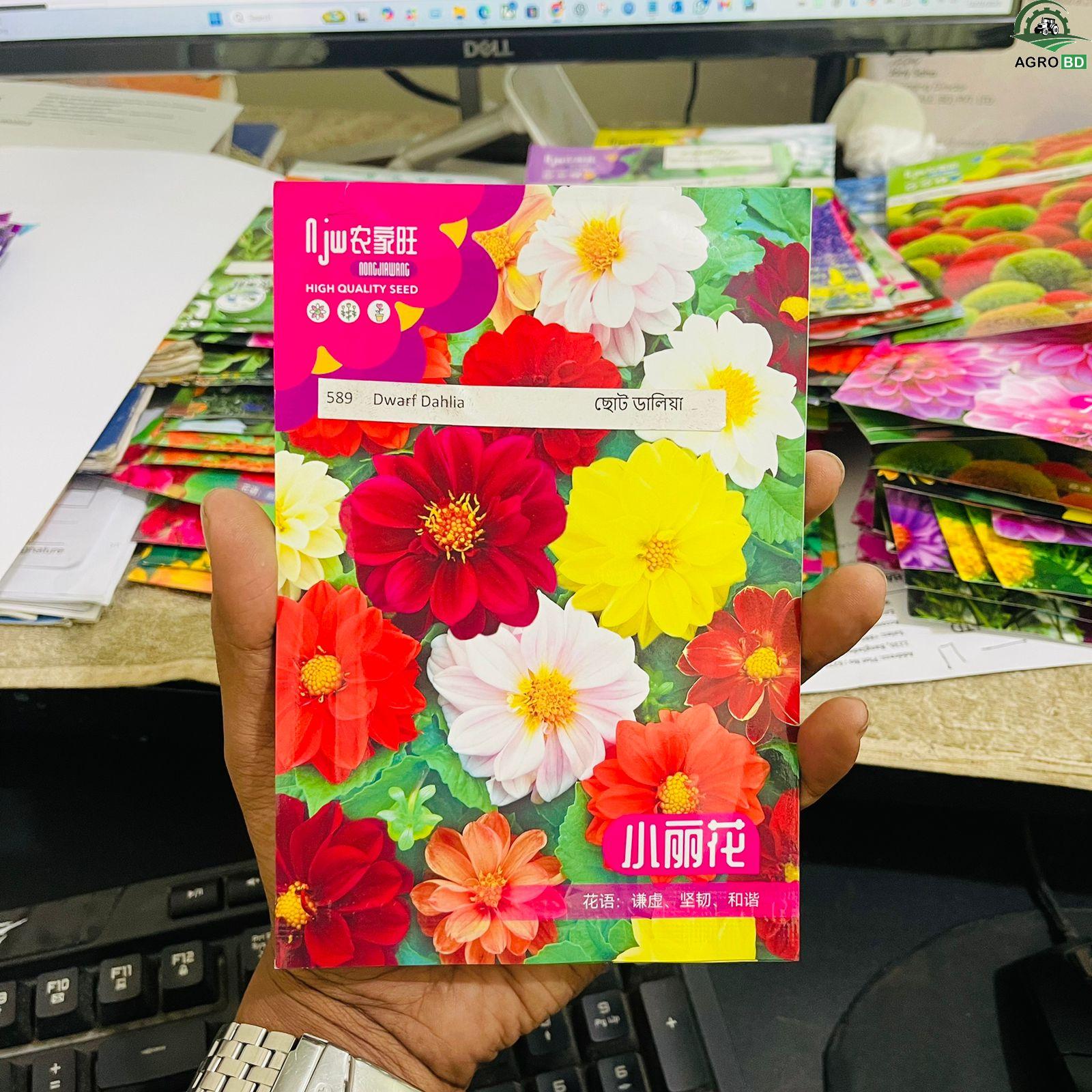 Miniature Dahlia Mix ক্ষুদ্রাকার ডালিয়া মিশ্রণ ১৫ পিস+-