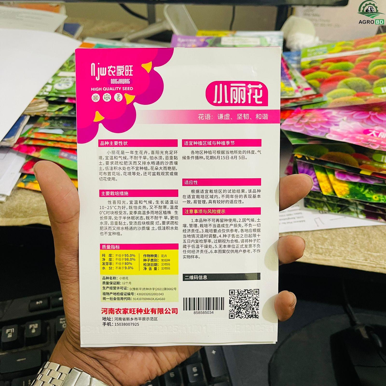 Miniature Dahlia Mix ক্ষুদ্রাকার ডালিয়া মিশ্রণ