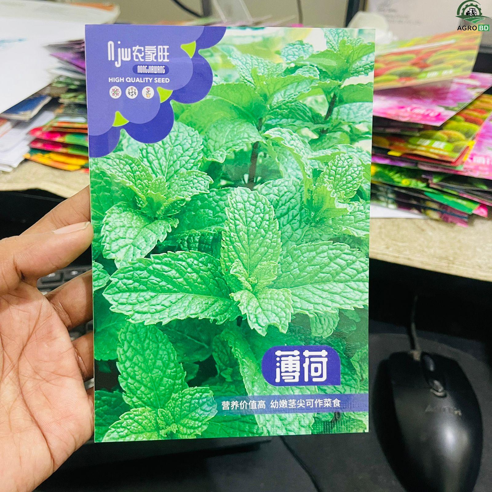 Mint সুগন্ধি পুদিনা বীজ