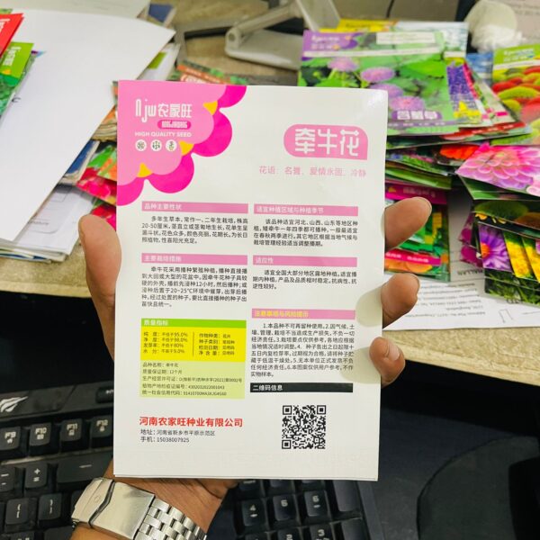 Morning Glory Flower Seeds