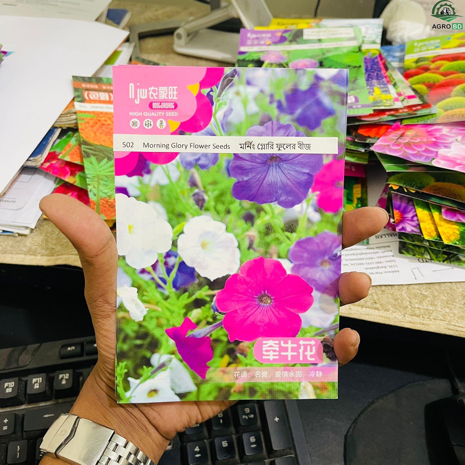 Morning Glory Flower Seeds সকাল সন্ধ্যা ফুলের বীজ