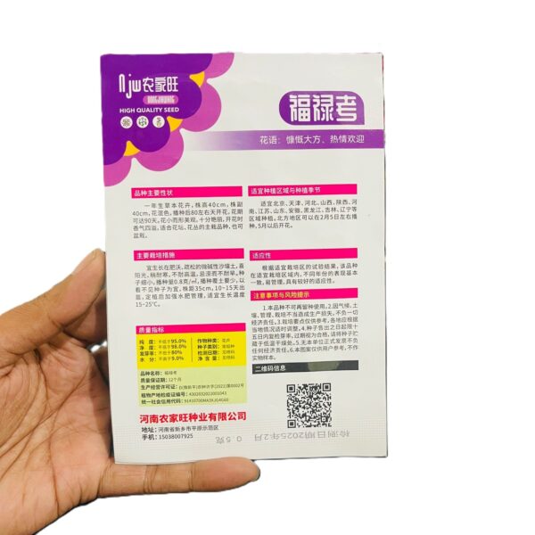 Multicolor Phlox seed