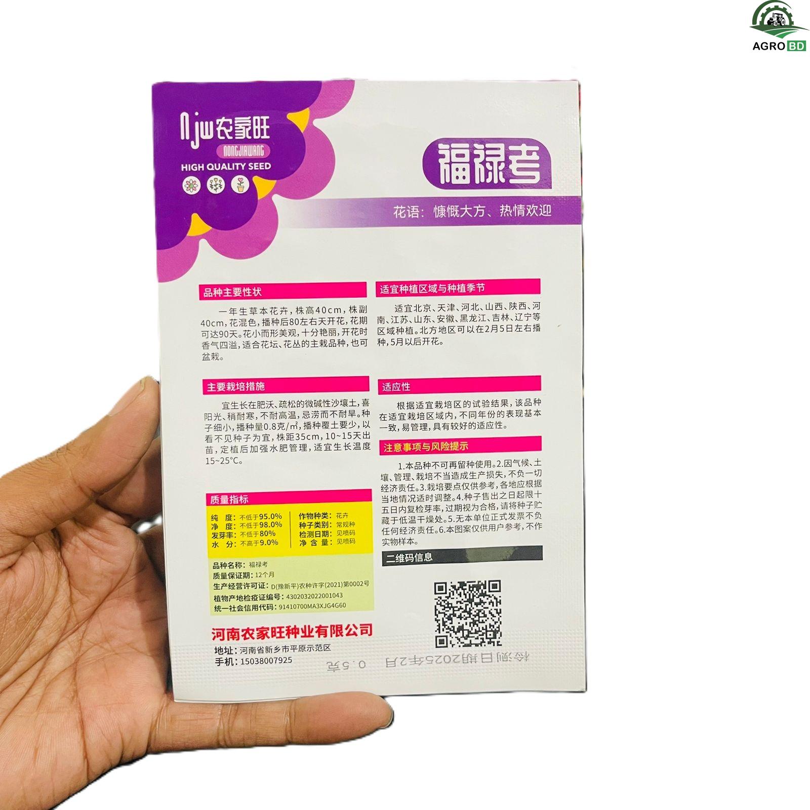 Multicolor Phlox seed