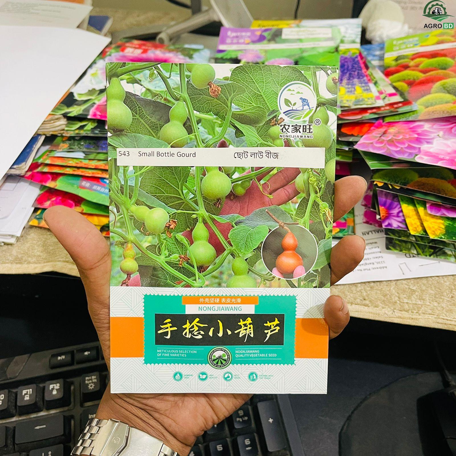 Small Bottle Gourd Seeds ছোট বোতল লাউ