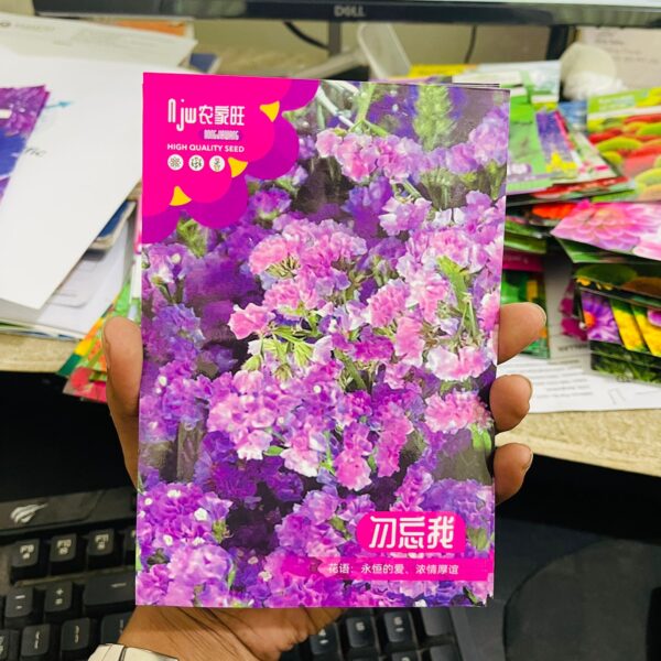 Statice or Sea Lavender Flower Seeds