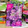 Statice or Sea Lavender Flower Seeds স্ট্যাটিস বা সি ল্যাভেন্ডার ফুলের বীজ