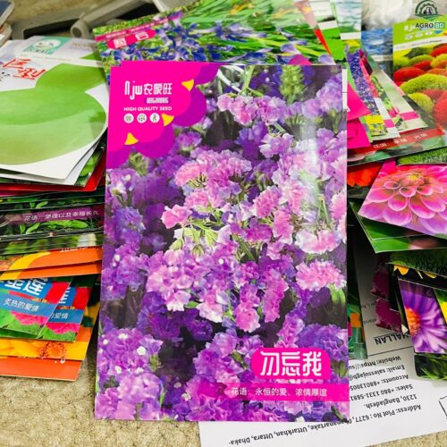 Statice or Sea Lavender Flower Seeds স্ট্যাটিস বা সি ল্যাভেন্ডার ফুলের বীজ