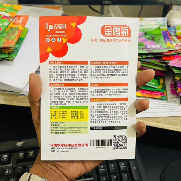 Tickseed Daisy or Coreopsis Seeds