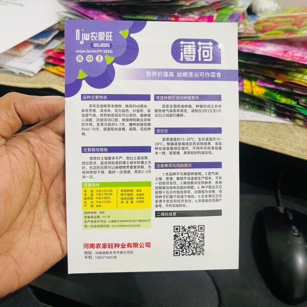 পুদিনা বীজ