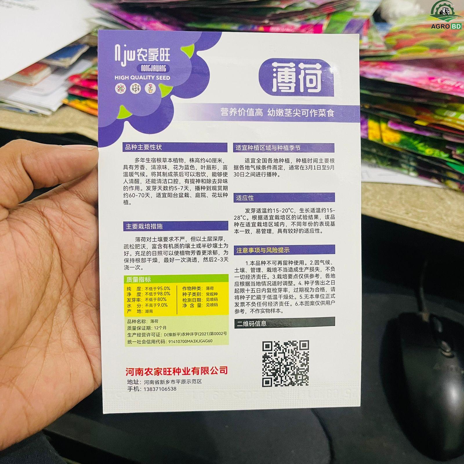 পুদিনা বীজ