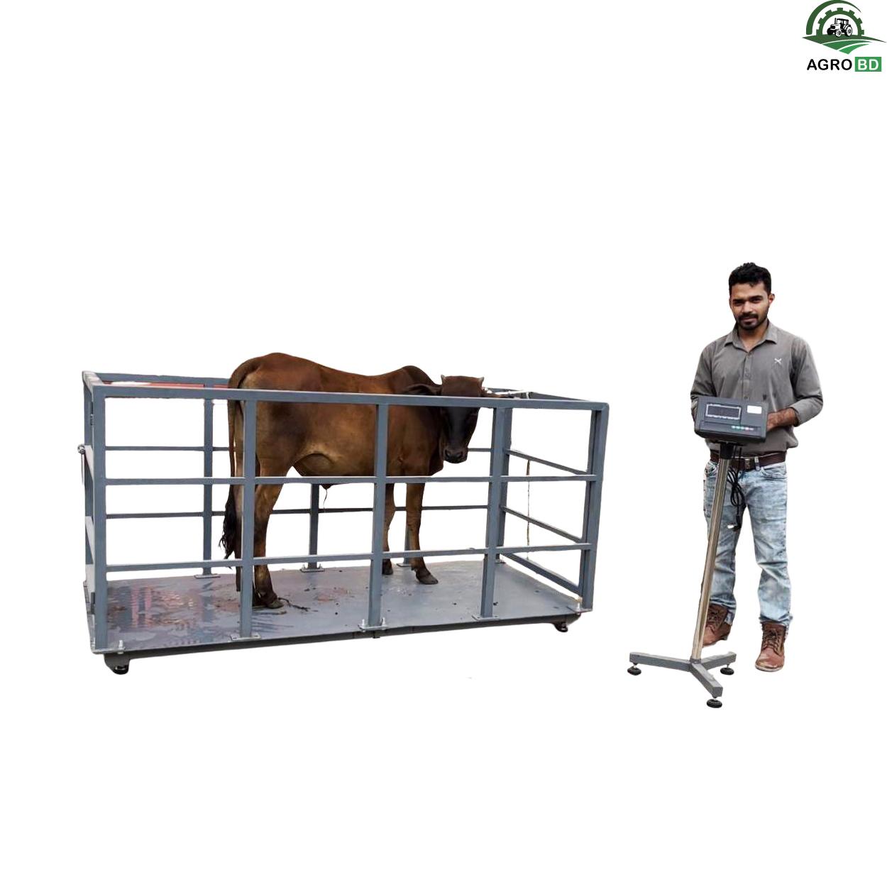 ডিজিটাল গরু মাপার স্কেল